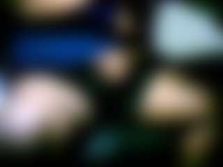 Live cam show with SergCarMX2 - White on xblisslive.com | mexico