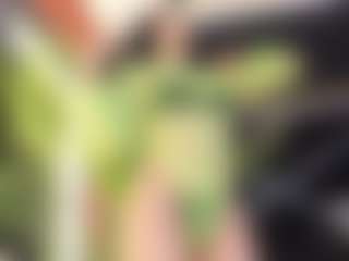 DaniMariin's Live Sex Cam Show