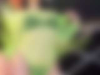 DaniMariin's Live Sex Cam Show