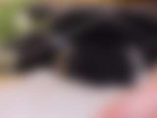 DaniMariin's Live Sex Cam Show