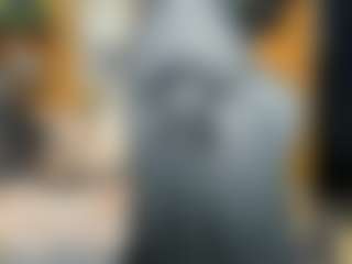 Live cam show with Danna38topless - Colombian on TeamSkeetLive | colombia