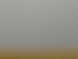 Live cam show with Rafaelle - Ebony on Camsoda | united states