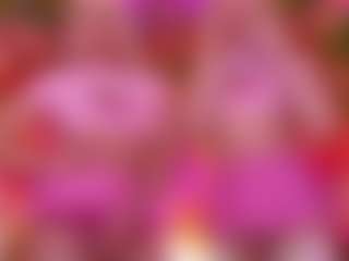 SpicySluts's Live Sex Cam Show