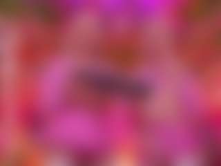 SpicySluts's Live Sex Cam Show