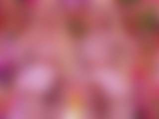 SpicySluts's Live Sex Cam Show