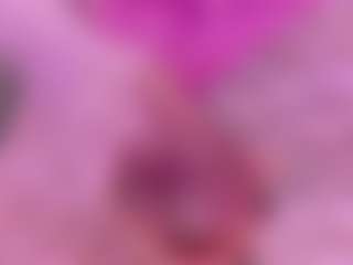 SpicySluts's Live Sex Cam Show