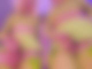 SpicySluts's Live Sex Cam Show