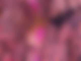 SpicySluts's Live Sex Cam Show