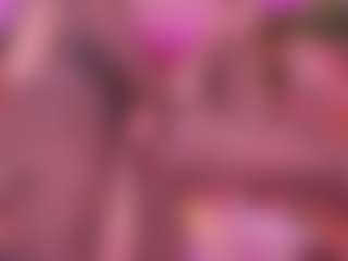 SpicySluts's Live Sex Cam Show
