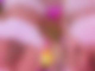 SpicySluts's Live Sex Cam Show
