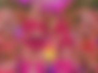 SpicySluts's Live Sex Cam Show