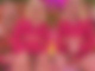 SpicySluts's Live Sex Cam Show