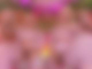 SpicySluts's Live Sex Cam Show