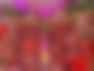 Spettacolo in cam dal vivo con SpicySluts - HD su Camsoda