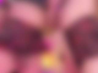 SpicySluts's Live Sex Cam Show