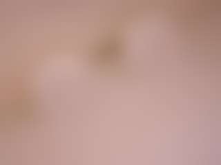 AbigailKuntz's Live Sex Cam Show
