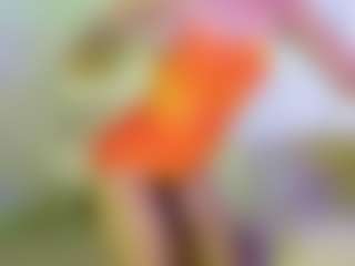 riiby's Live Sex Cam Show