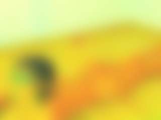 Live cam show with riiby - Hairy Pussy Brown Hair on Camming Site