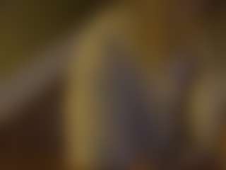 JacyWinslat's Live Sex Cam Show