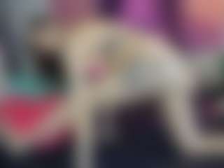 BarbieRiot's Live Sex Cam Show