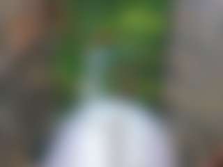 Live cam show with DiamondJoXXX - Cum on Pornisteam.com