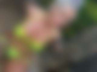 DiamondJoXXX's Live Sex Cam Show