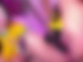 KittieEvaa's Live Sex Cam Show