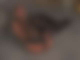 RoseleeRaderstorf's Live Sex Cam Show