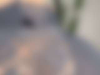 Spicy247's Live Sex Cam Show