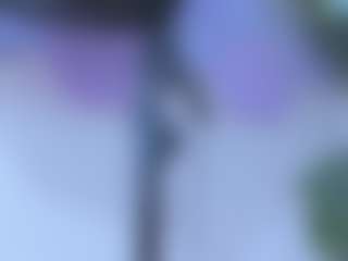 Live cam show with April Grey - Cute on liverealitysex.com