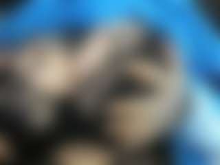 driana-ate's Live Sex Cam Show