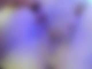 Live cam show with Diosa-exotic - Facial Piercings on Lustler