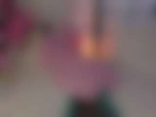 nickiereed's Live Sex Cam Show