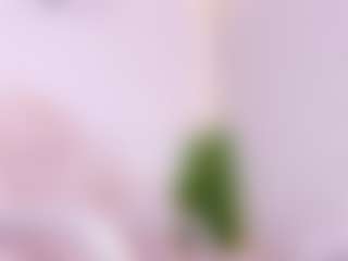 MarelynSummer's Live Sex Cam Show