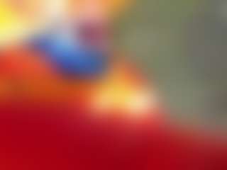 taylotmathews's Live Sex Cam Show