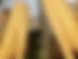 Dju's Live Sex Cam Show