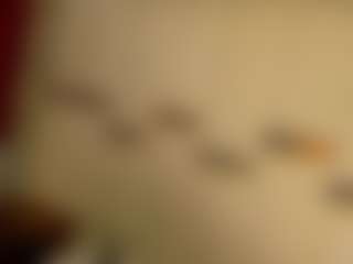 Live cam show with MerilandHH - Erotic Dance on madthumbs