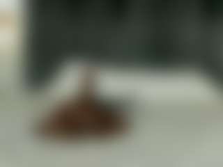 Tamralyn's Live Sex Cam Show
