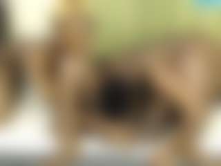 Barbiecharm's Live Sex Cam Show