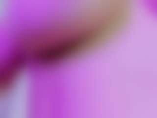 Evaa's Live Sex Cam Show
