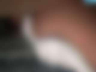 Live cam show with Shadelyst - Body Massage on xxxlivecams.org