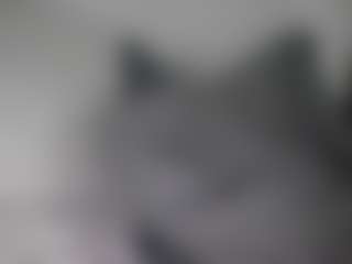Live cam show with Shadelyst - Squirt on infinitiblacc.com