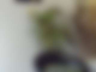 BlueEyesDesire's Live Sex Cam Show