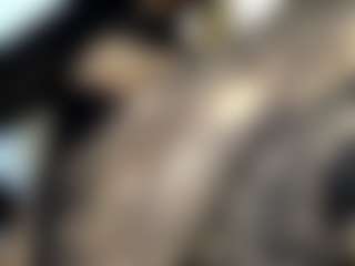 Live-Cam-Show mit laura-fit - HD auf Camsoda