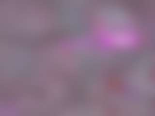 Show de cam sexual en vivo de Sweetcupcaks