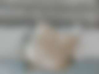 ZaraVesari's Live Sex Cam Show