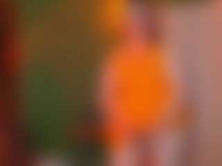 Live cam show with VeronikaGold - Gray Eyes on sexylive.show