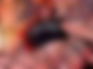 Live-camshow met AriaNova - Anal Toys op Camsoda