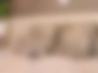 irisreid's Live Sex Cam Show