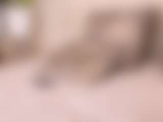 Live cam show with irisreid - Brown Hair on Camsoda